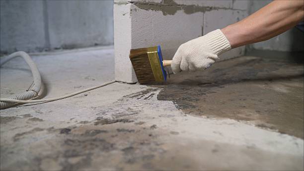 SJ Waterproofing Pros Waterproofing coverage map for Albion, NY and surrounding area